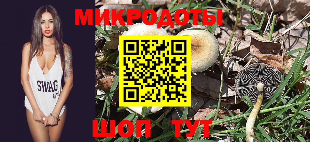 Алатырь  Галлюциногенные грибы Psilocybe  Вход с VPN 